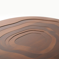 Karu tea trunk - Coffee table