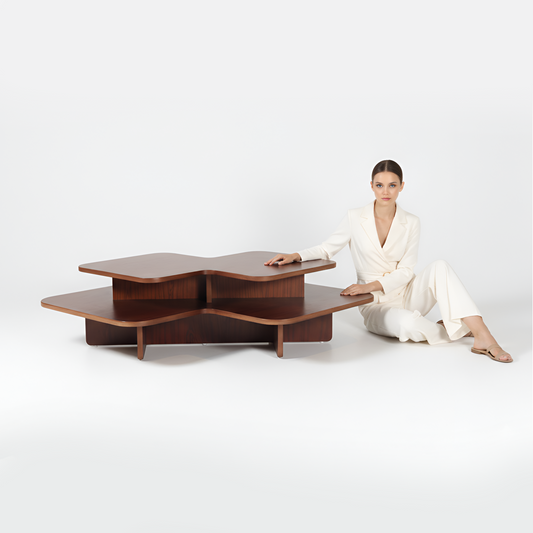 Spaid - Coffee table