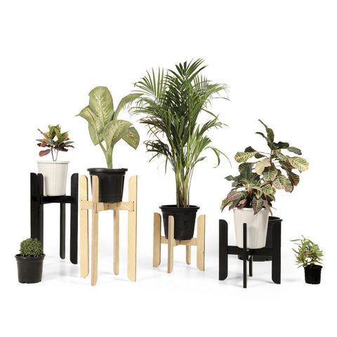 Botsu – Planter (Set of Two)