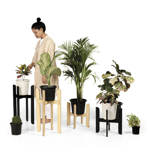 Botsu – Planter (Set of Two)